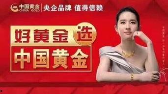 万达中国黄金爆料视频大全,揭秘爆料视频大全背后的精彩故事