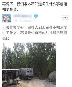 河北美院爆料视频播放,揭秘校园内幕