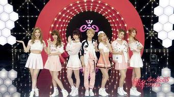 蜜蜂少女队爆料最新消息,揭秘团队幕后故事与精彩瞬间