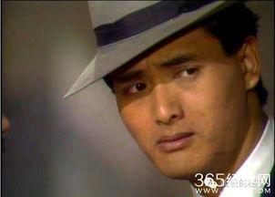 爆料明星糗事视频大全集,明星糗事视频大全集揭秘