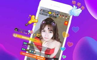 猪哥爆料小楠视频播放,小楠视频播放背后的惊人真相