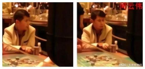明星赌博爆料事件真相视频,真相视频曝光，内幕大起底