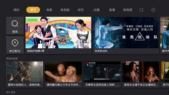 高清电视直播在线观看