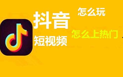 爆料为什么不收录抖音视频,为何抖音视频被意外排除收录之谜