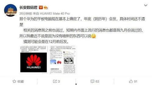 野生麒麟爆料视频下载,野生麒麟神秘视频曝光，带你一探究竟