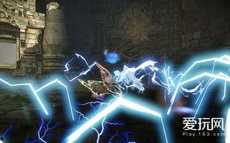 野生麒麟爆料视频下载,野生麒麟神秘视频曝光，带你一探究竟