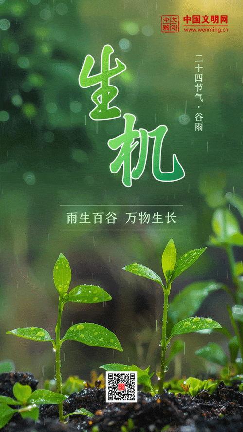 万物生长在线观看免费,探索生命奥秘的视觉盛宴