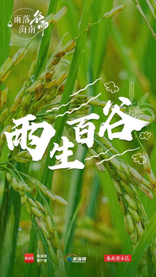 万物生长在线观看免费,探索生命奥秘的视觉盛宴