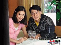 香港娱乐圈爆料天涯,天涯揭秘娱乐圈幕后真相