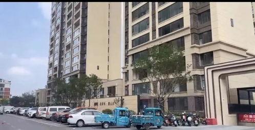 温岭一小区爆料案件最新,真相渐浮水面，警方全力调查